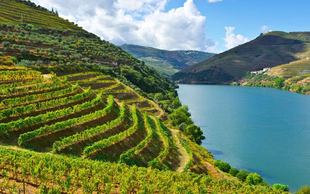 Lugar Douro