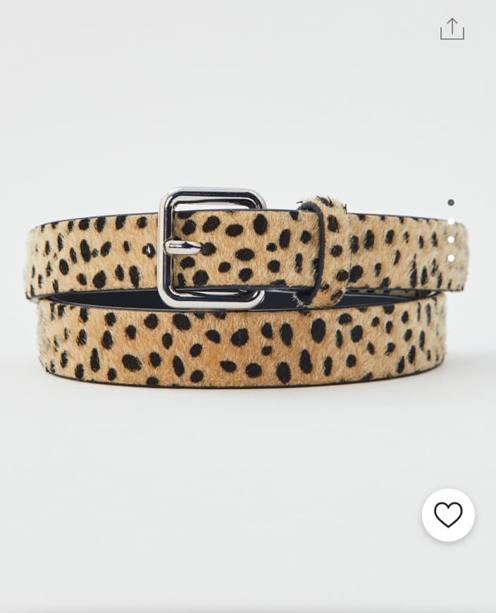 Product Cinto estampado leopardo