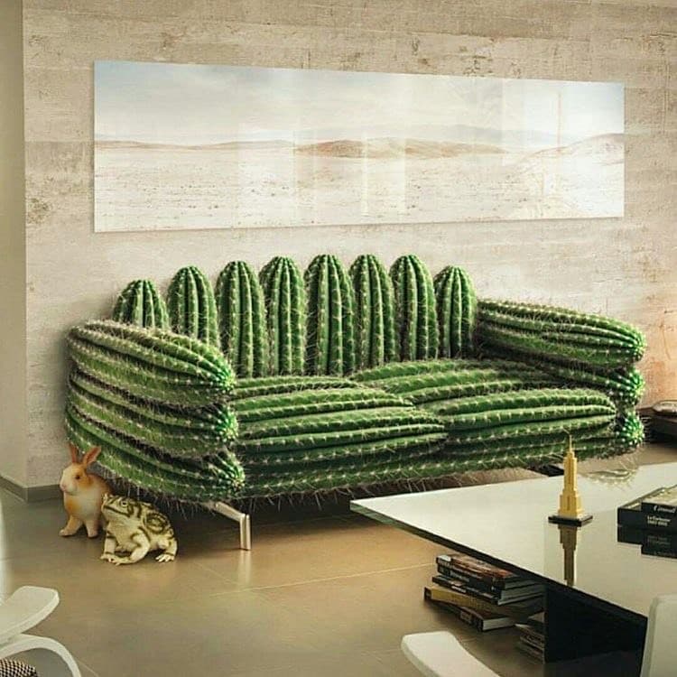 Producto Cactus Decor 