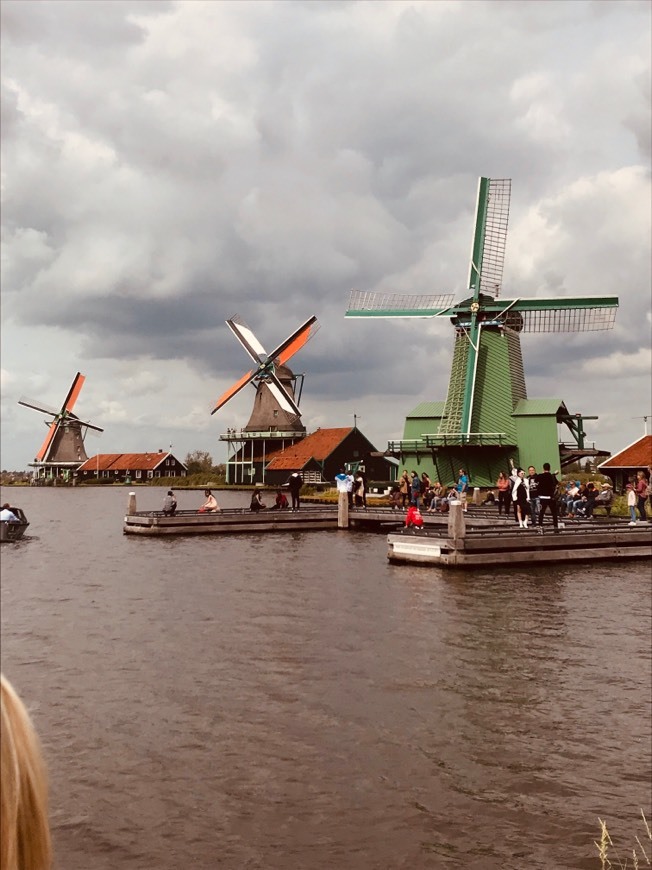 Lugar Zaanse Schans - Netherland