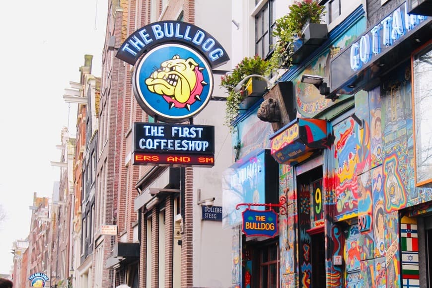 Place The Bulldog Coffeshop - Red Light District