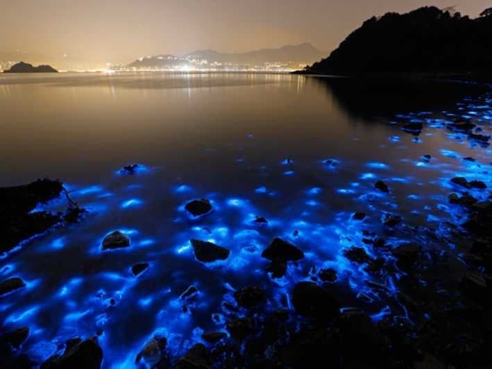 Lugar LUMINOUS LAGOON