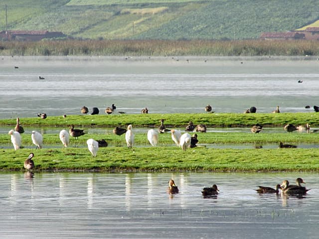 Place Laguna Tragadero