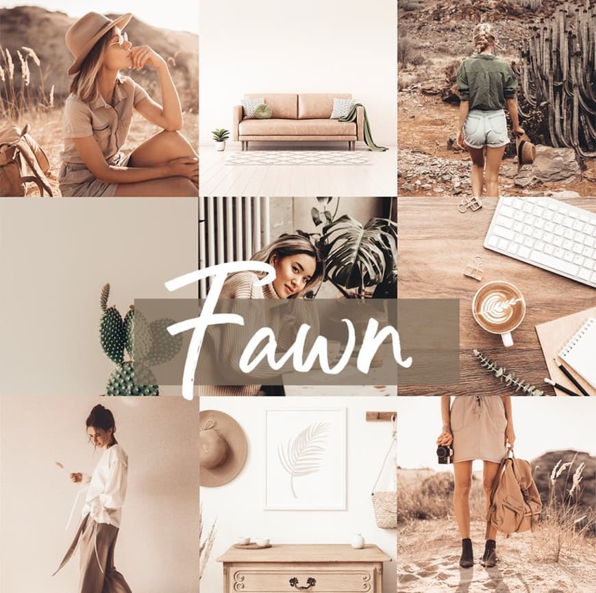 Producto FAWN PRESET 