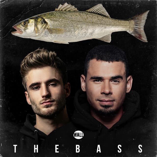 Music The Bass