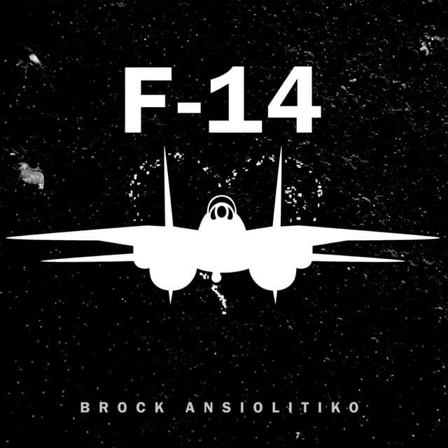 Canción F-14