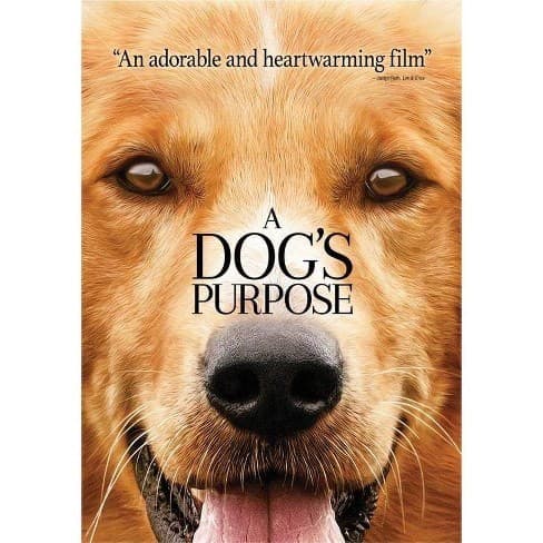 Película A Dog's Purpose