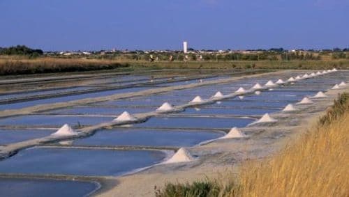 Place Salinas de Aveiro