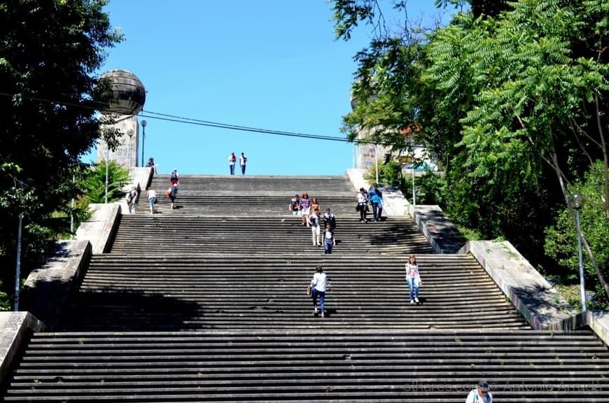 Place Escadas Monumentais, Universidade