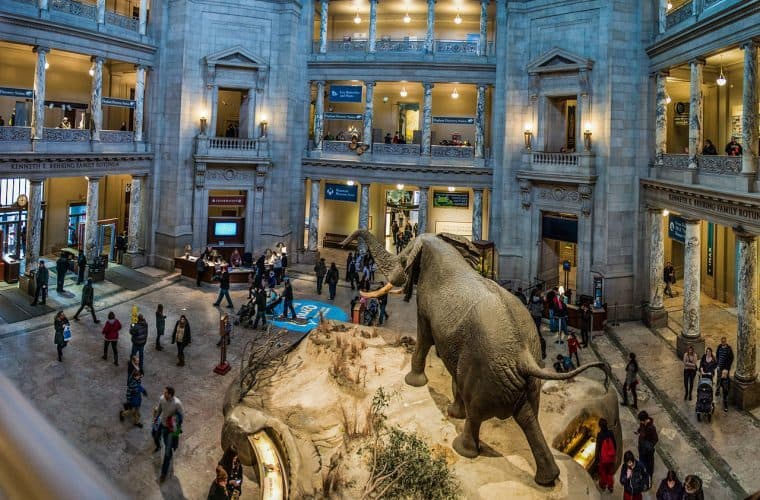 Lugar Museo Nacional de Historia Estadounidense