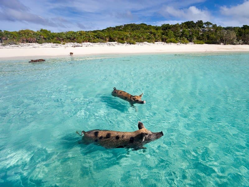 Lugar Bahamas Islands