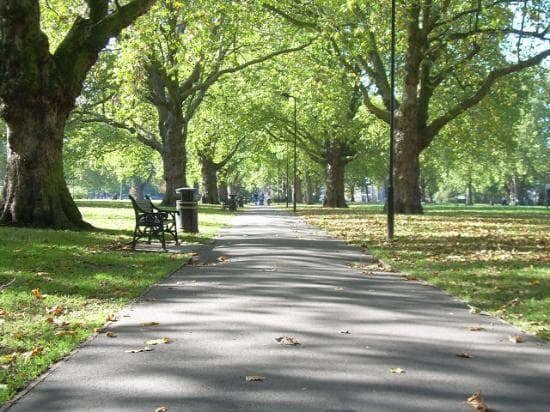 Place London Fields