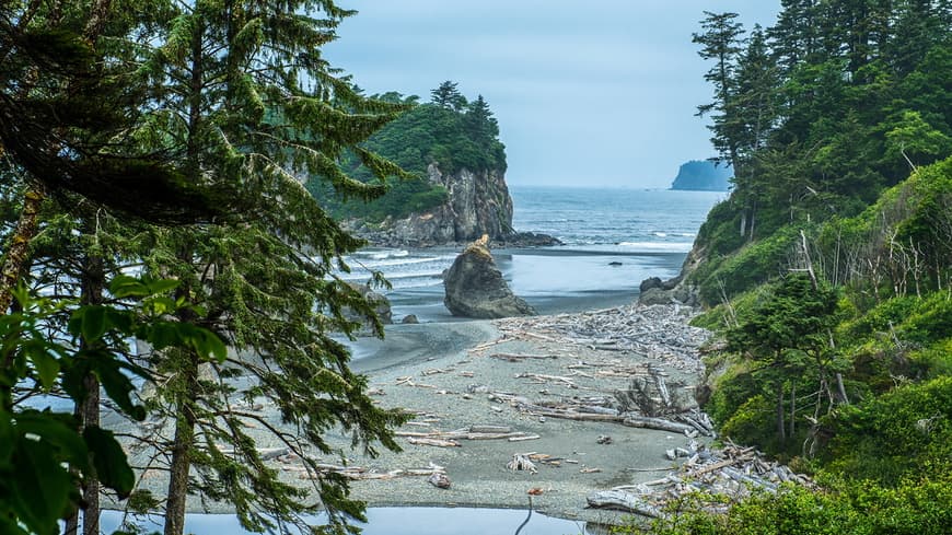 Place Olympic Peninsula