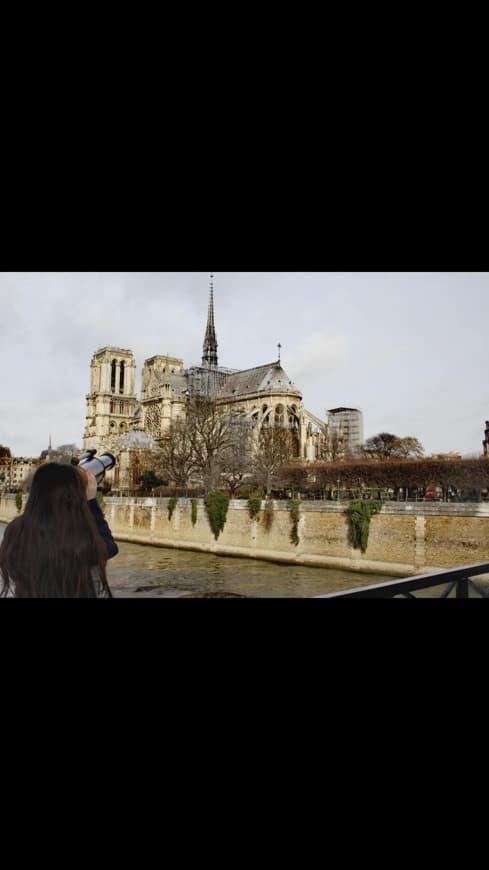 Lugar Catedral de Notre Dame