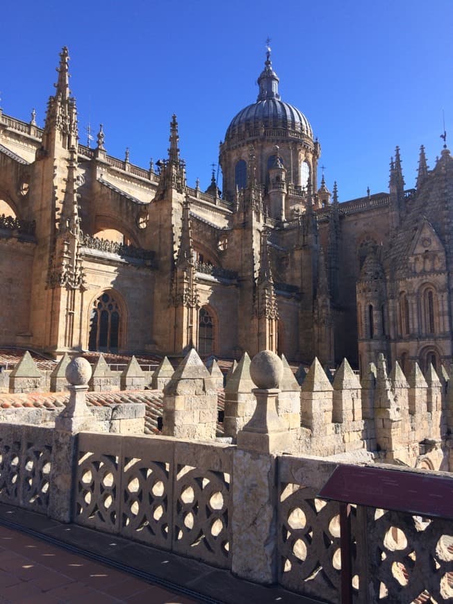 Lugar Catedral de Salamanca