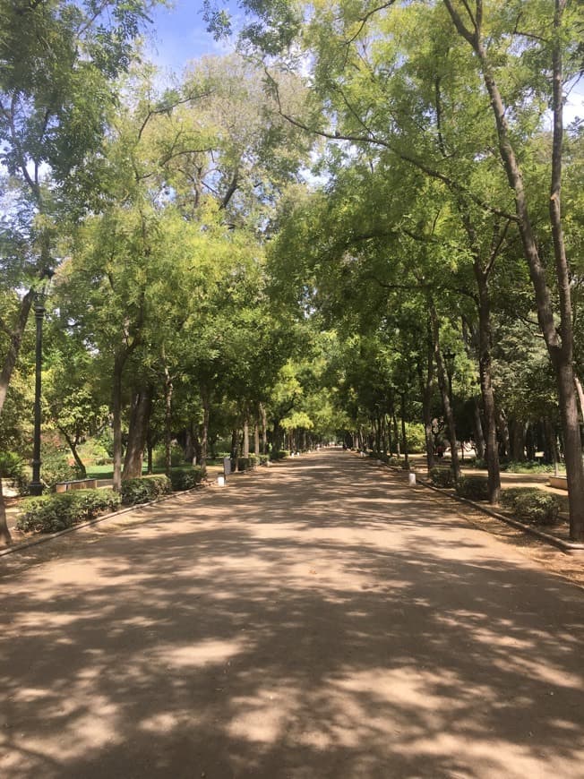 Place Parque de María Luisa