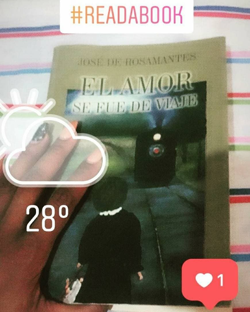 Book El día que se perdió la cordura