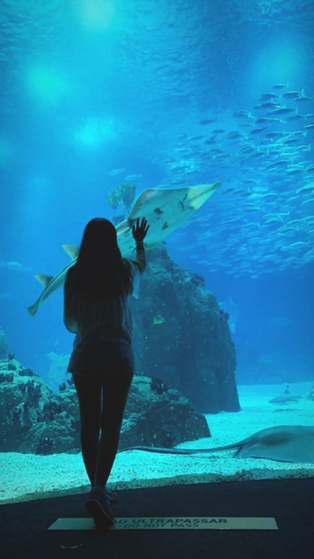 Place Oceanário de Lisboa