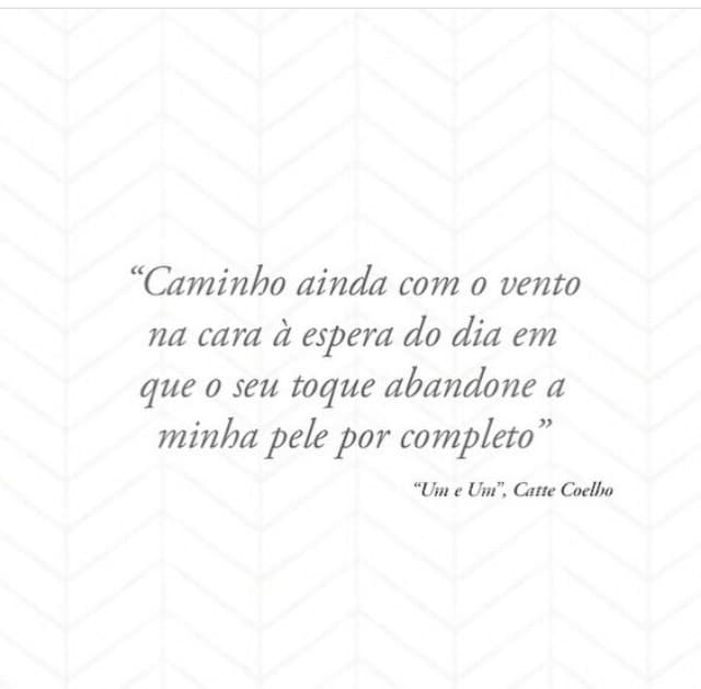 Moda Quotes by Catte