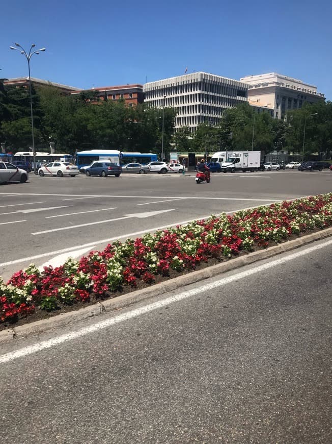 Place Plaza de Cibeles