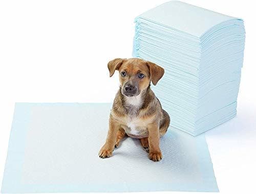 Product AmazonBasics - Toallitas de entrenamiento para mascotas