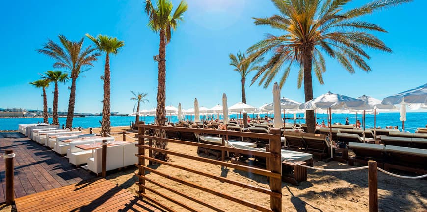 Restaurants Amare Beach Club Marbella