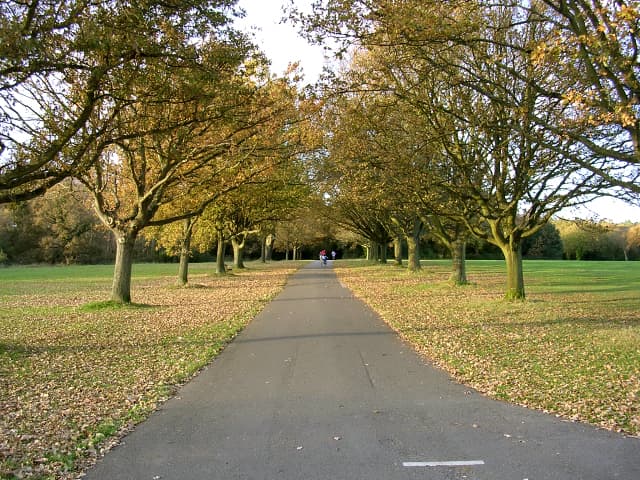 Place Southampton Common