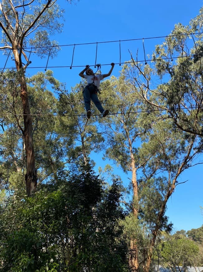 Place Adventure Park. Recomendo muito o arborismo (mega circuito)