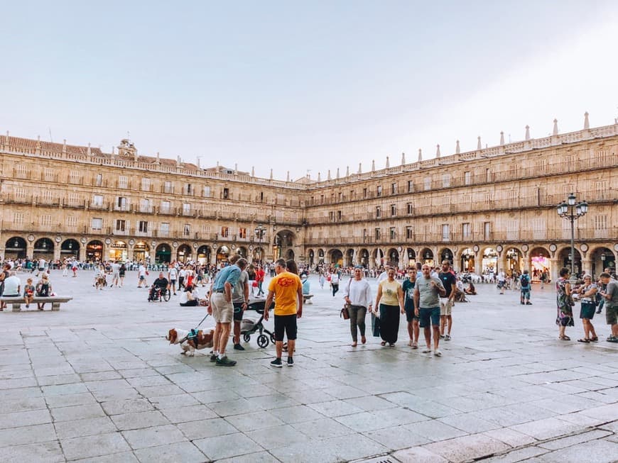 Lugar Plaza Mayor