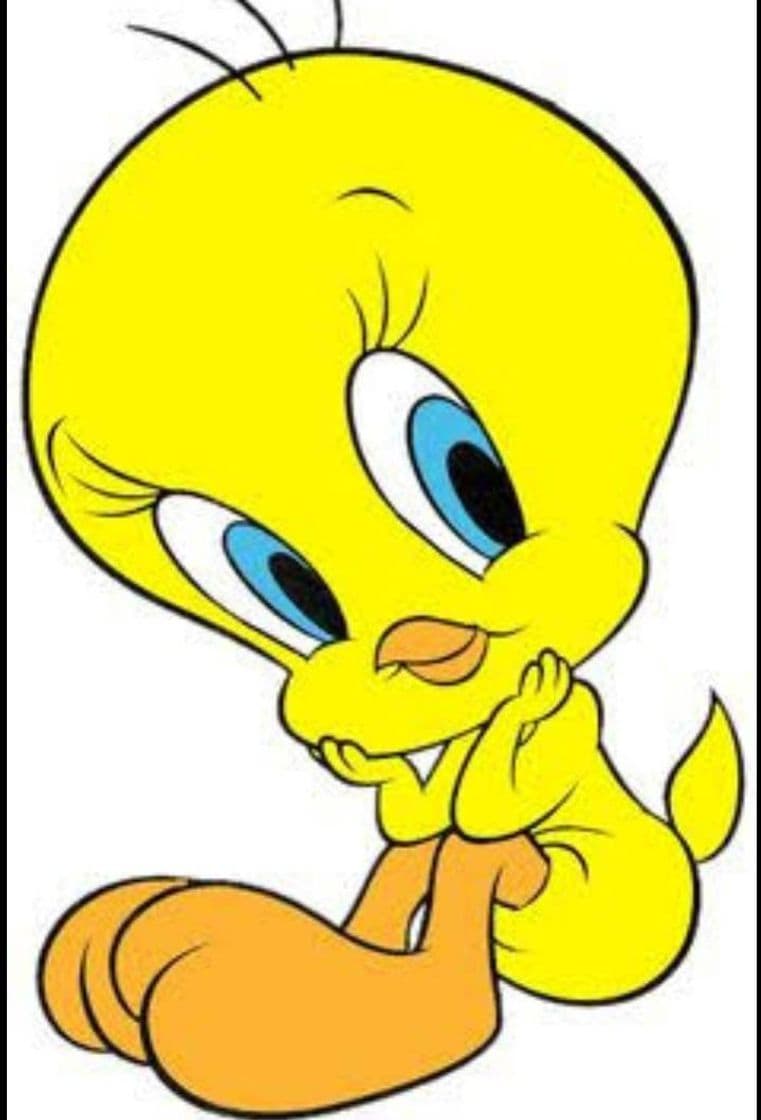 Moda Piolin