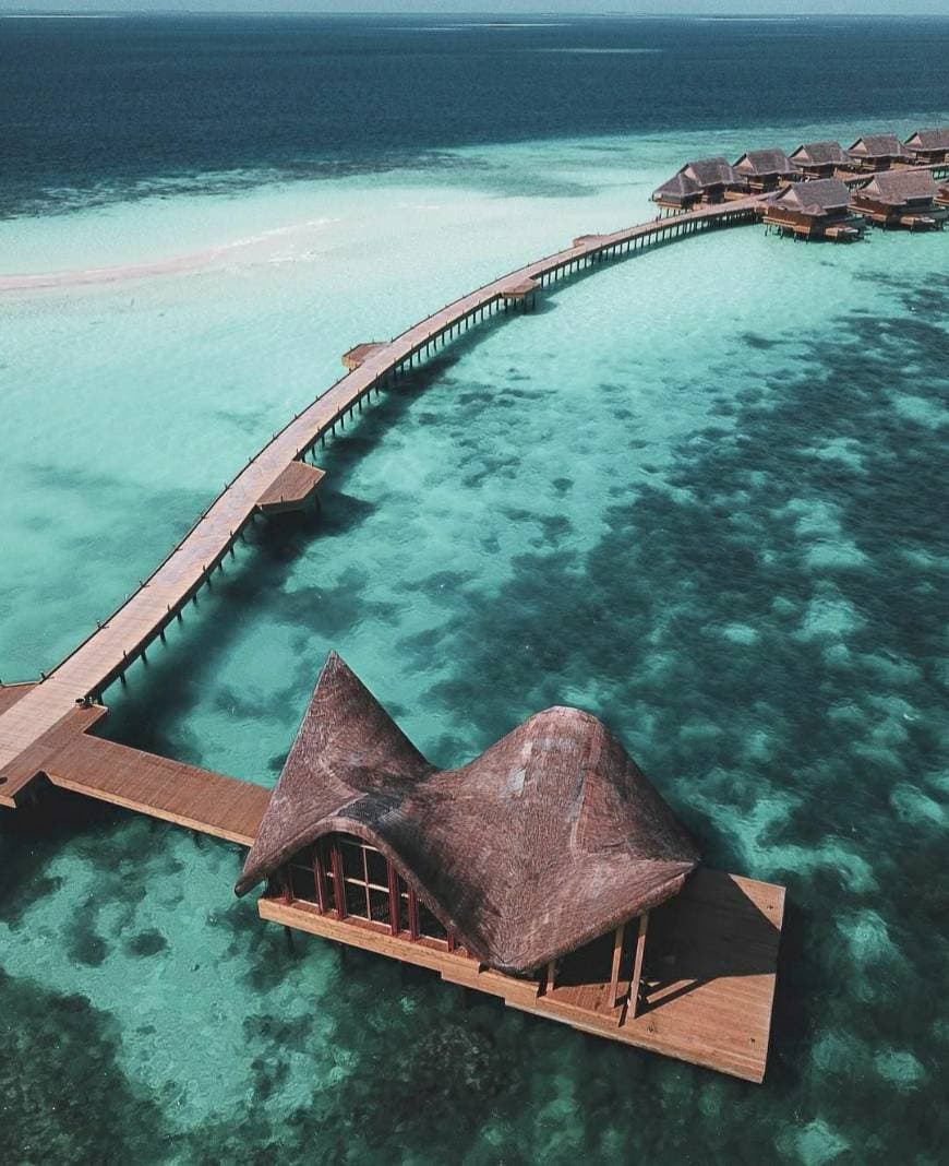 Lugar Maldive Islands