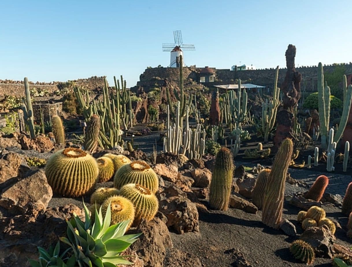 Place Jardín de Cactus de Lanzarote