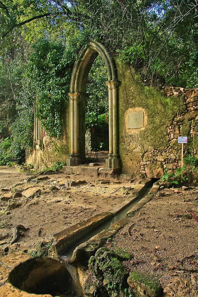 Lugar Jardins da Quinta das Lágrimas