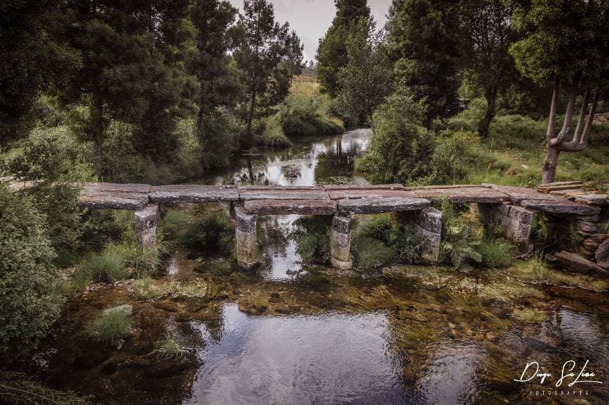 Lugar Serra de Arga