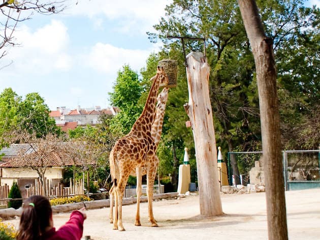 Place Jardim Zoológico de Lisboa