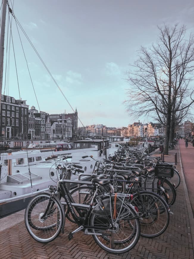 Place Ámsterdam