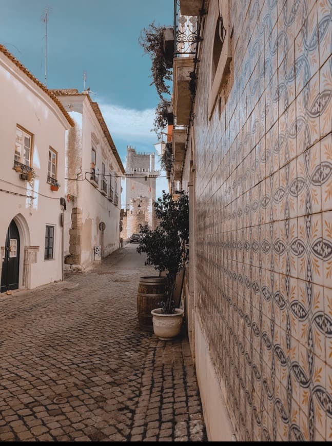 Place Castelo de Beja