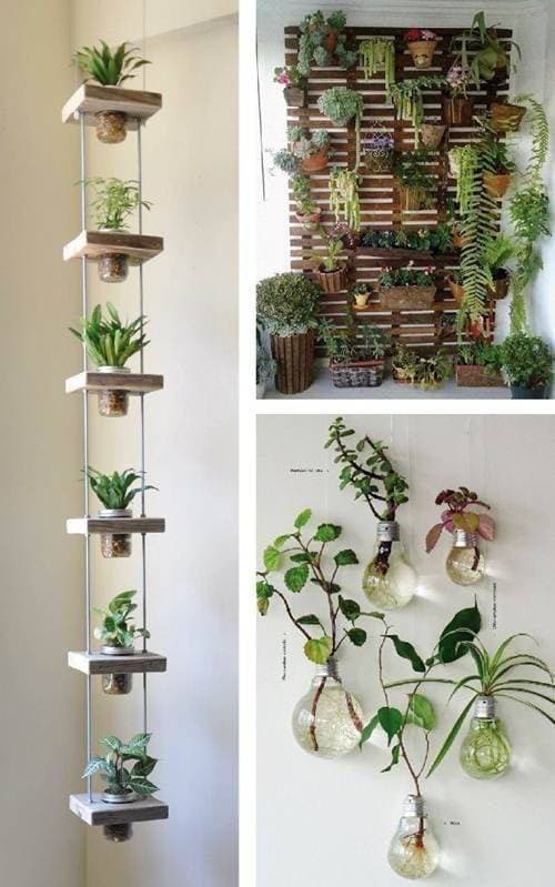 Moda Inspirações de decoração com plantas