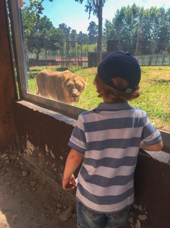 Place ZOO Santo Inácio