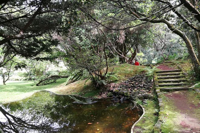 Lugar Faial Botanical Garden