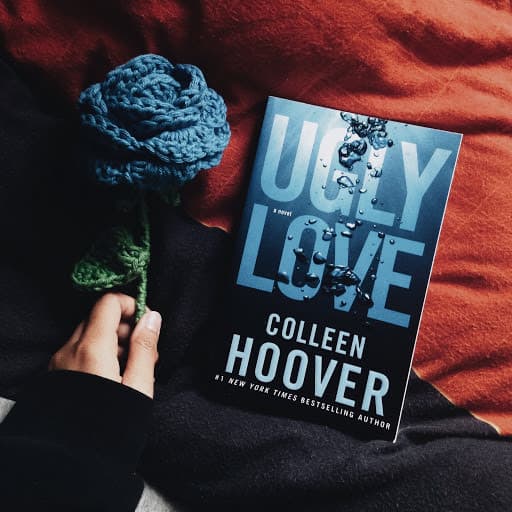 Book Ugly Love