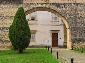 Place Museu Botânico (Museu de História Natural)