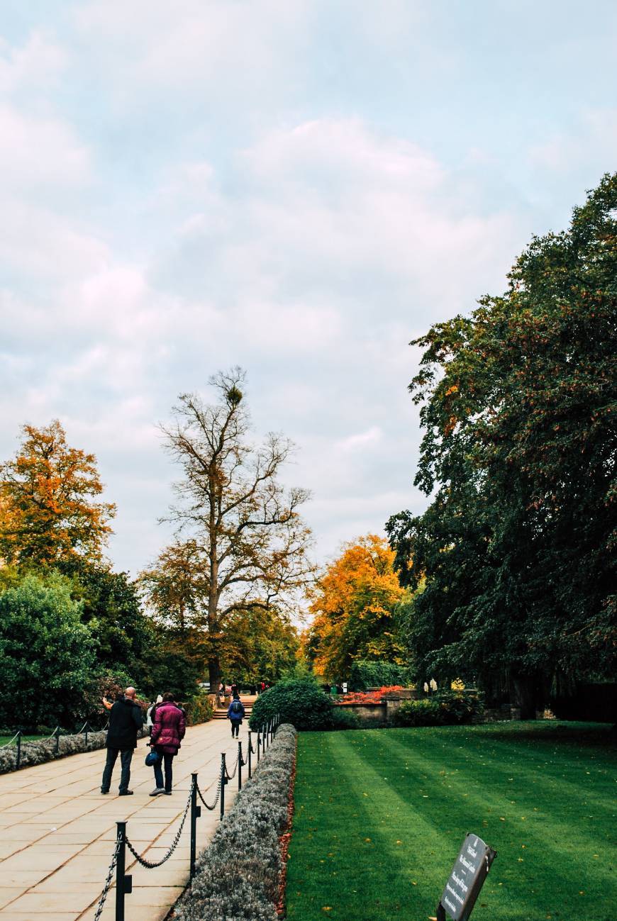 Lugar Oxford Botanic Garden