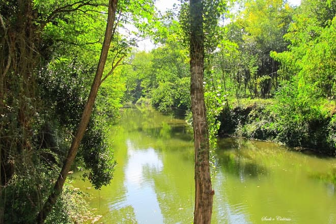 Lugar Mata Nacional do Choupal