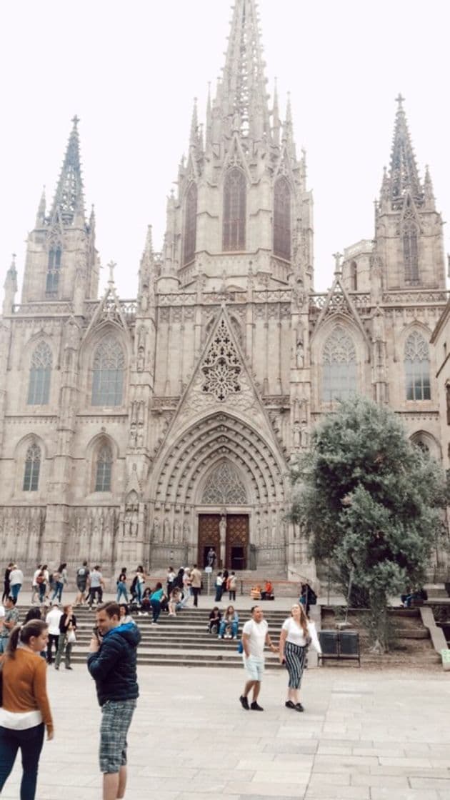 Place Catedral de Barcelona