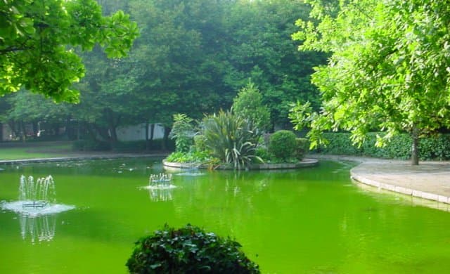 Lugar Parque Aquilino Ribeiro