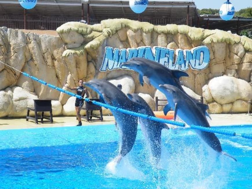 Place Marineland