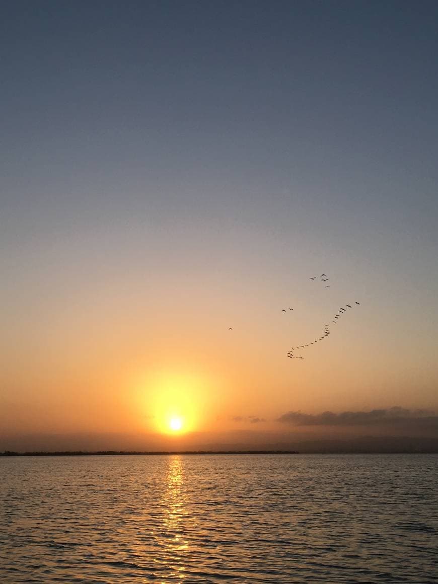 Lugar Albufera Valencia