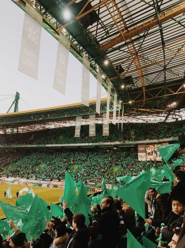 Place Estadio José Alvalade