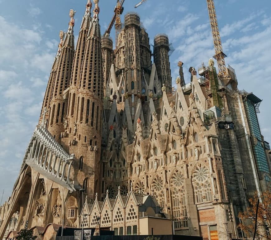 Lugar Basílica Sagrada Familia